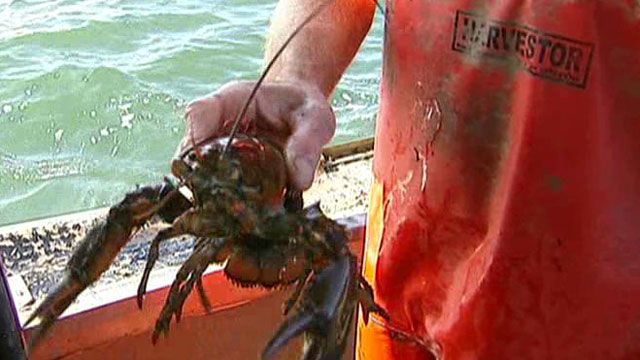 Taking Liberties: Lobster Tale