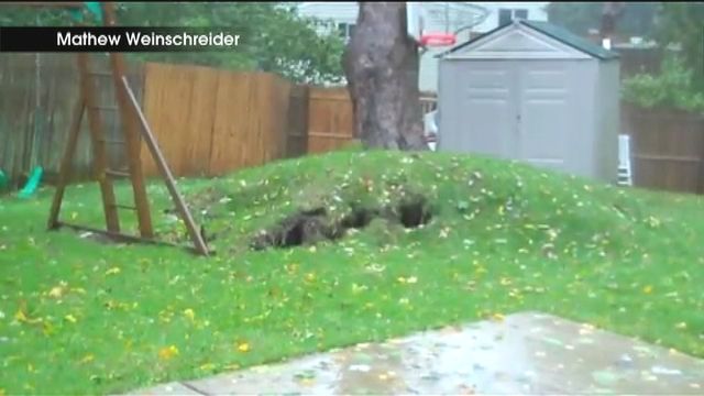 Hurricane Sandy Rips Tree Out of the Ground