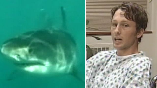 California surfer recovering from shark attack