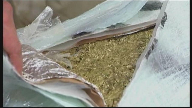 20 Tons of Pot Smuggled in Border Tunnel Seized