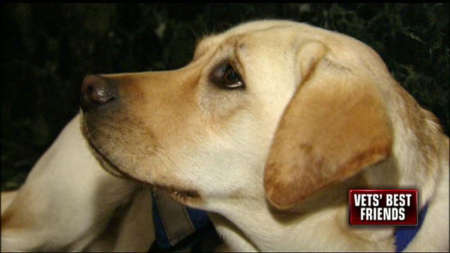 New Leash on Life for Wounded Vets