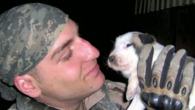 Soldier's Dog From Iraq Brought to the U.S.