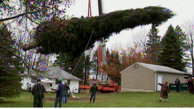 Massive spruce brings Christmas cheer to NJ town
