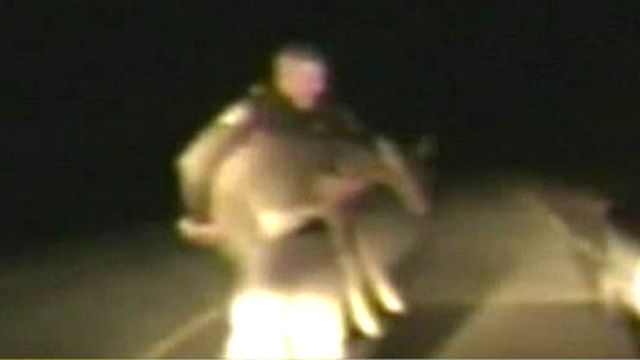 Deer in the Headlights Rescued