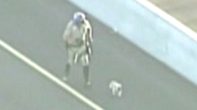 Cops Chase Dog on Busy Freeway