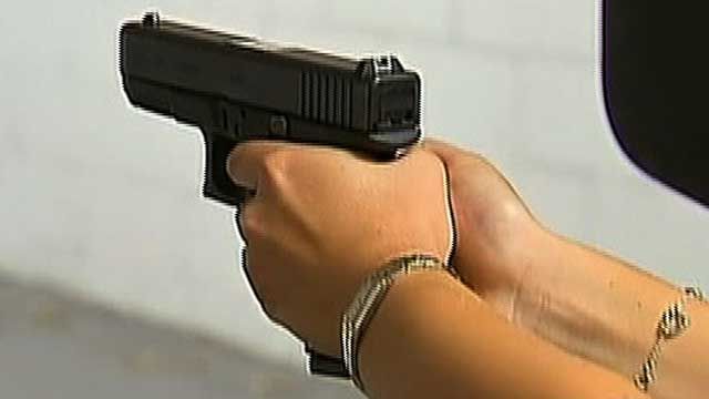 House Approves Concealed Weapons Permit Bill