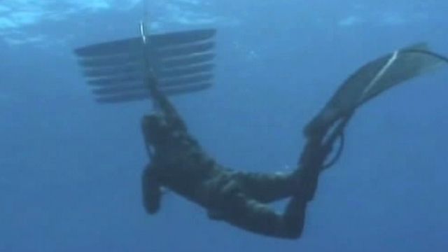 High-Tech Underwater Robots Monitor Ocean Life
