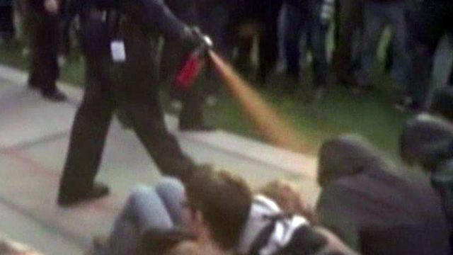 Investigation into Pepper Spray Incident at Occupy Protest