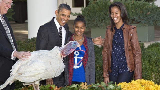 PETA protesting President Obama's Thanksgiving turkey pardon