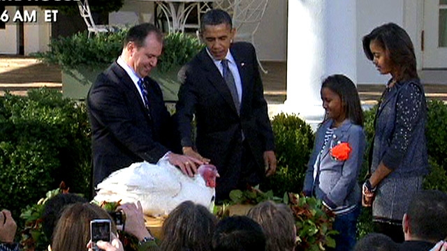 Obama Pardons Thanksgiving Turkey