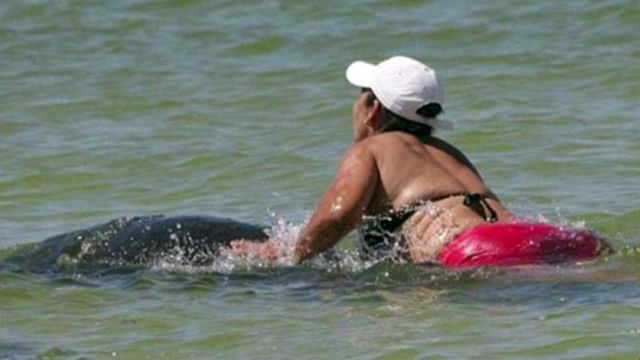 Woman arrested for riding a manatee