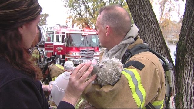 Firefighter Rescues Pup
