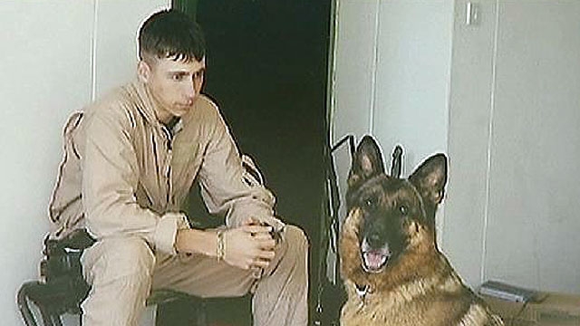 Marine Canine Keeping Handler's Memory Alive