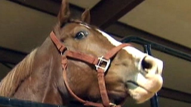 Across America: Authorities Bust Illegal Horse Racing Ring