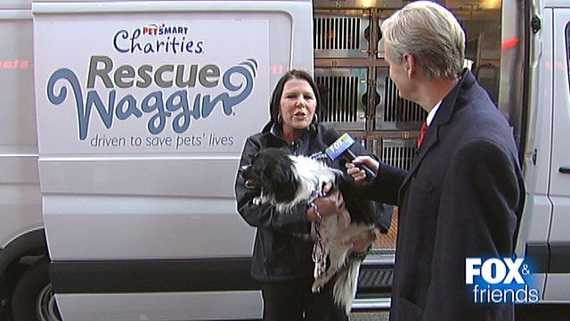After the Show Show: Rescue Waggin