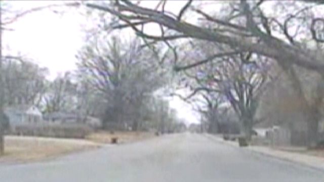 Timber! Tree Falls on Cop Car