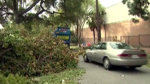 Strong Winds Wreak Havoc in Los Angles