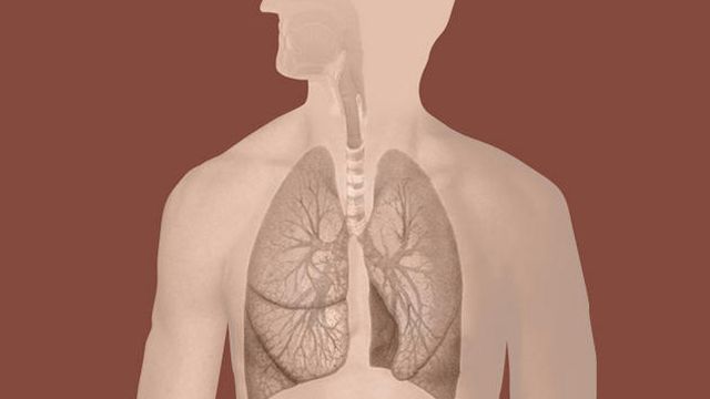 Understanding bronchitis