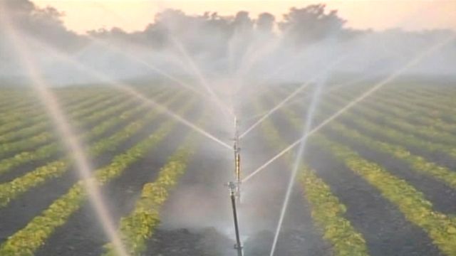 Frigid Temps Threaten Florida Crops