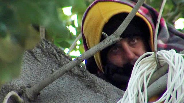 Occupy Protester Takes Refuge in Tree