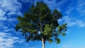 Be an Eco-Savvy Shopper