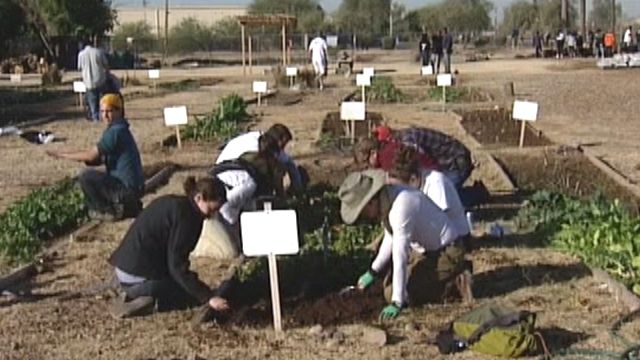 Gang Violence Garden Sprouts Hope