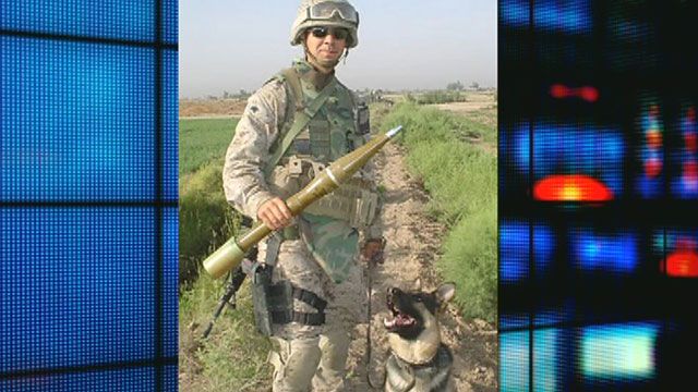 On the Battlefield: Man & His Dog