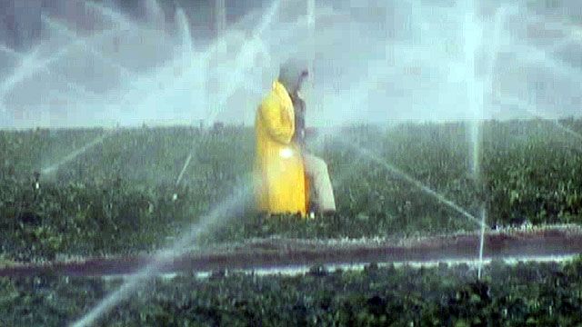 Florida Farmers Watching Fruit Freeze