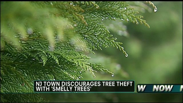 Smellytrees