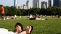 Is Your City Green?