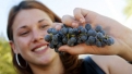 Great "Grape" Getaways